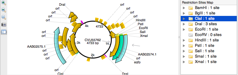 search-for-restriction-enzymes-unipro-ugene