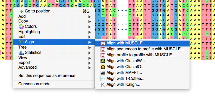 large multiple sequence alignment