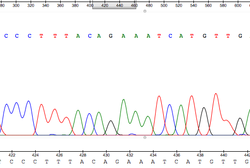 chromatogram analysis