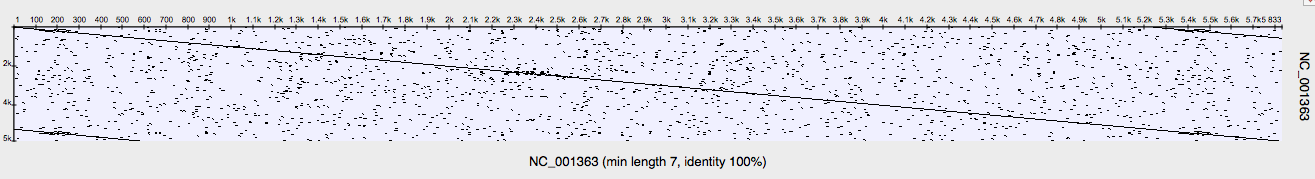 Dot Plot Graph