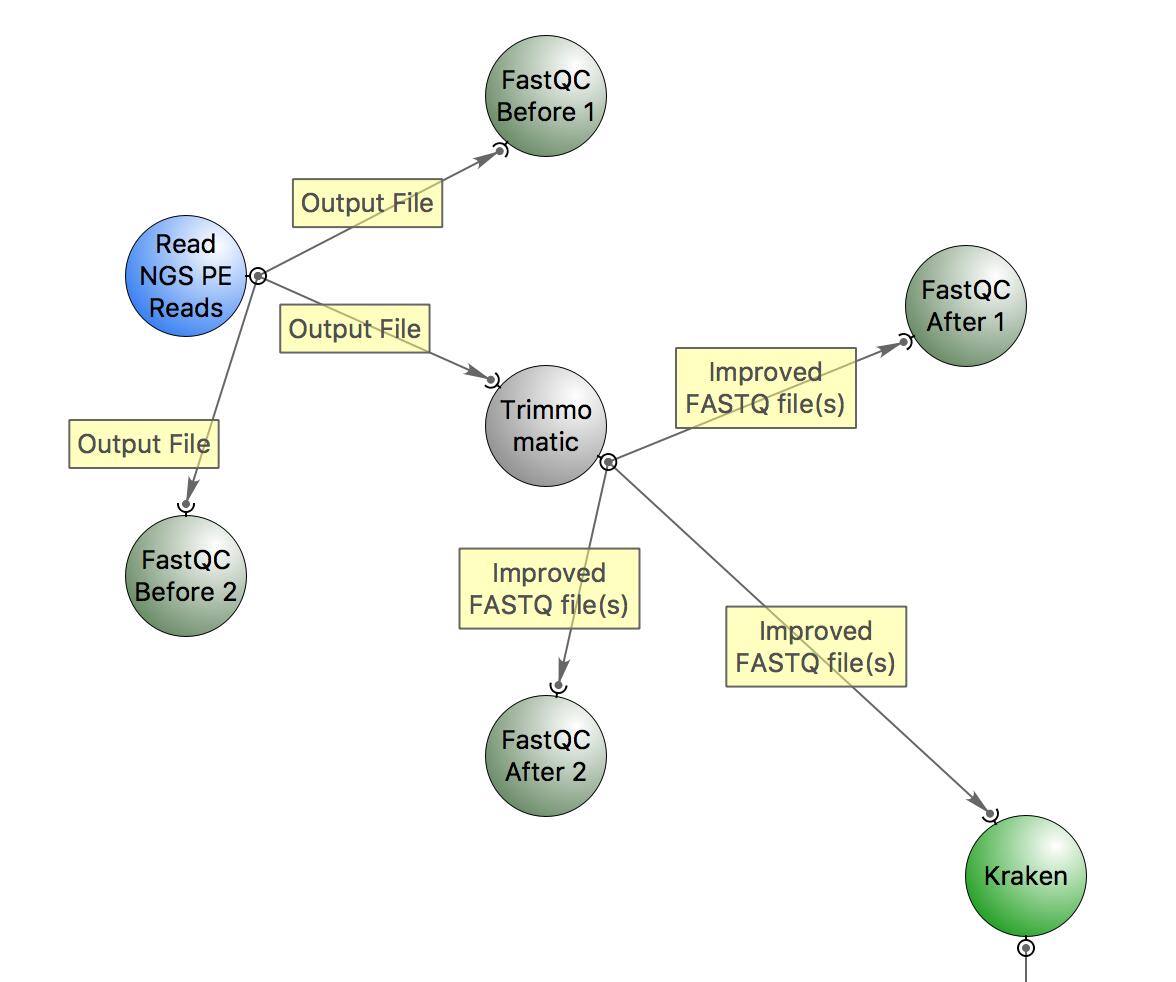 Main workflow