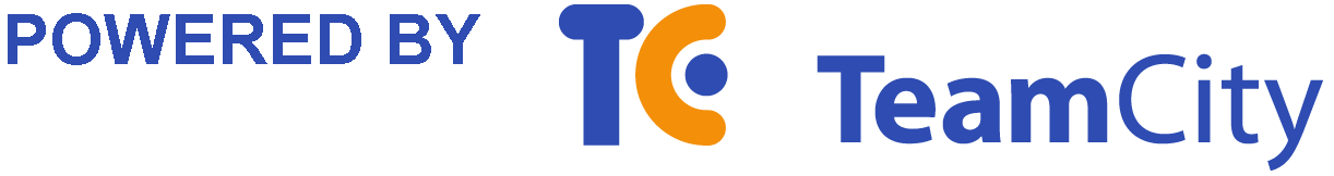 Тимсити лого