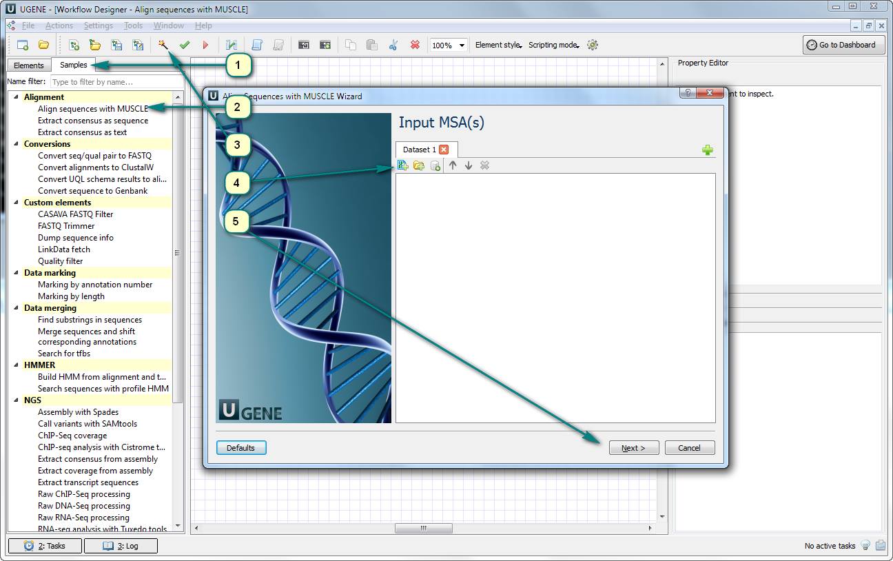 How to create a multi sequence alignment from a set of sequences in a Multi-FASTA file