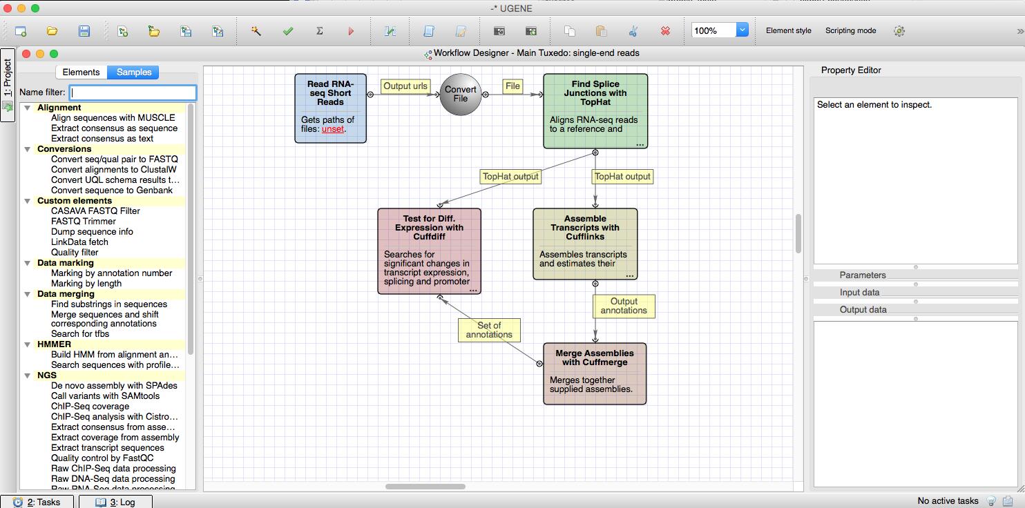 NGS workflow